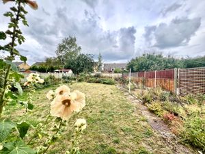 Garden- click for photo gallery